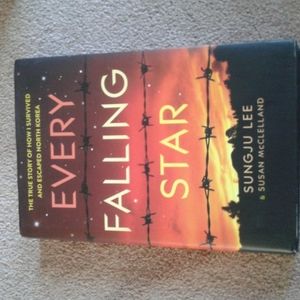 Every Falling Star by Sungju Lee